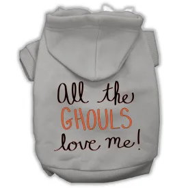 All The Ghouls Screenprint Dog Hoodie Grey S (10)