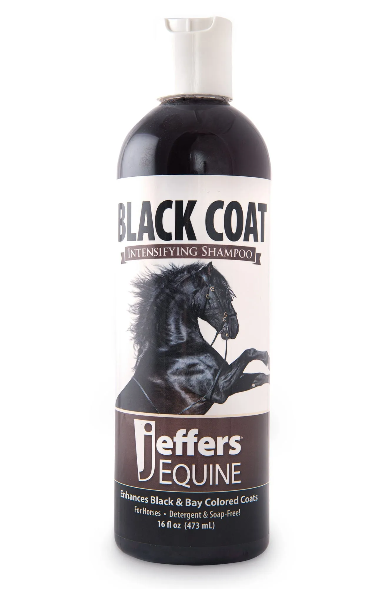 Jeffers Black Coat Shampoo for Horses