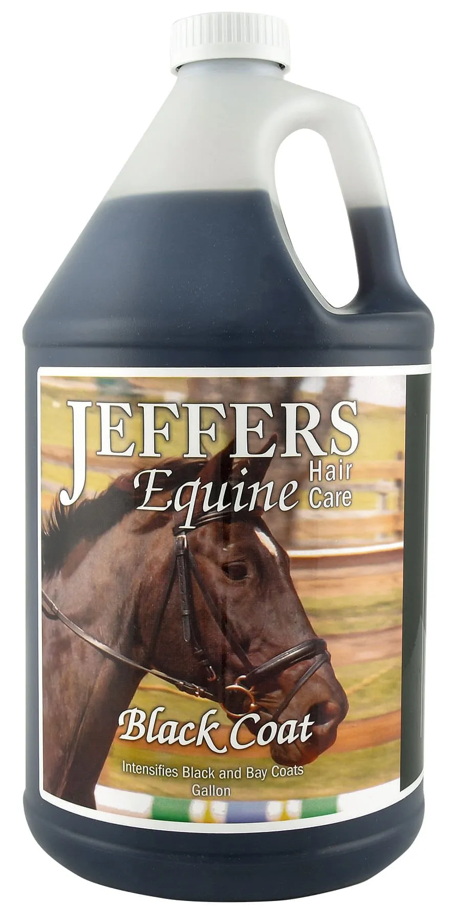 Jeffers Black Coat Shampoo for Horses