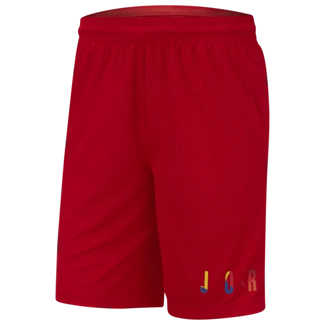 Jordan Men's Sport DNA HBR Shorts