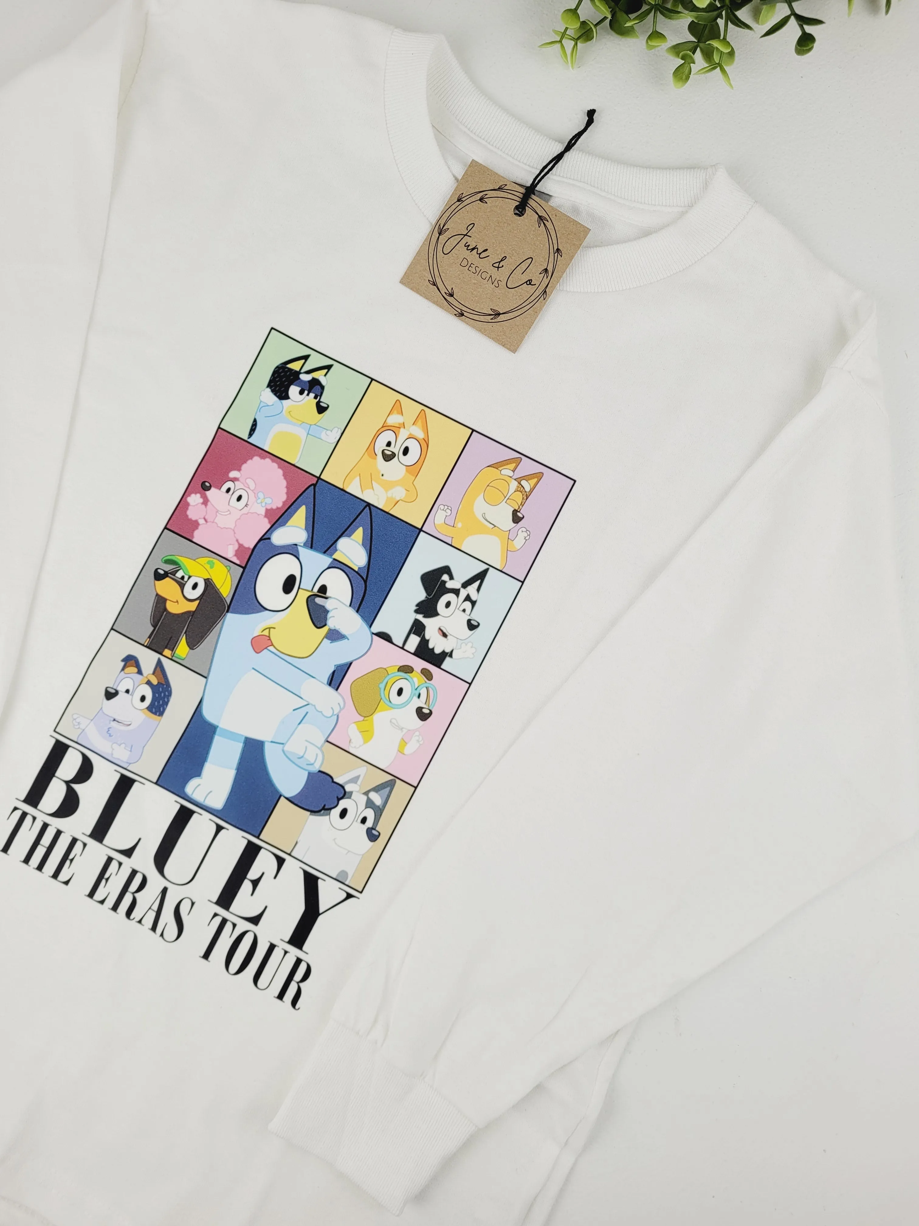 June & Co Designs, Bluey Eras Long Sleeve Youth T-Shirts