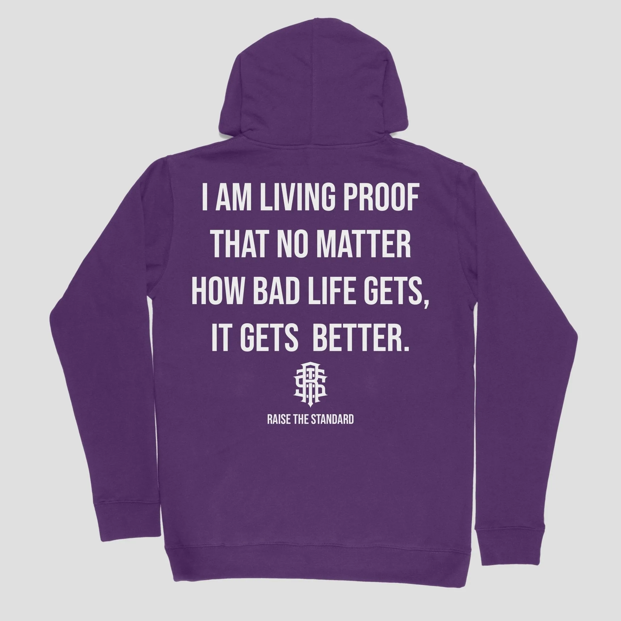 This too shall pass hoodie